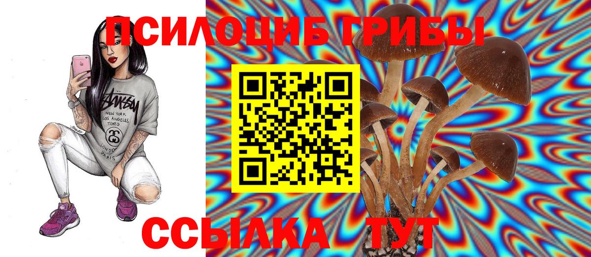 Псилоцибиновые грибы MAGIC MUSHROOMS  Вход с VPN  Омск 