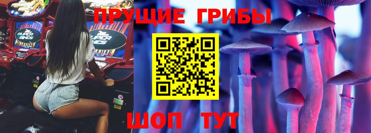 Псилоцибиновые грибы Psilocybine cubensis Омск